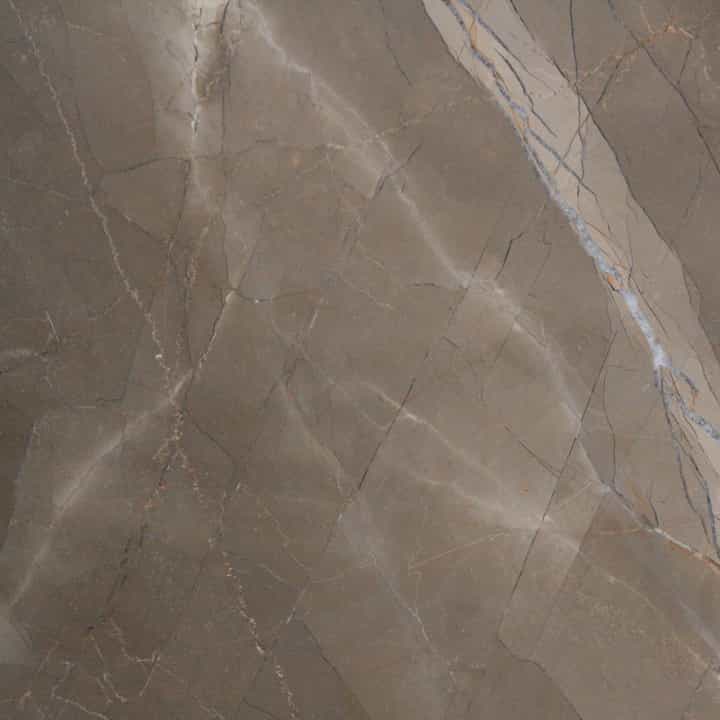 GRIS PULPIS